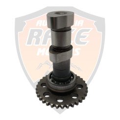 Camshaft Intake Duke 200 y RC 200