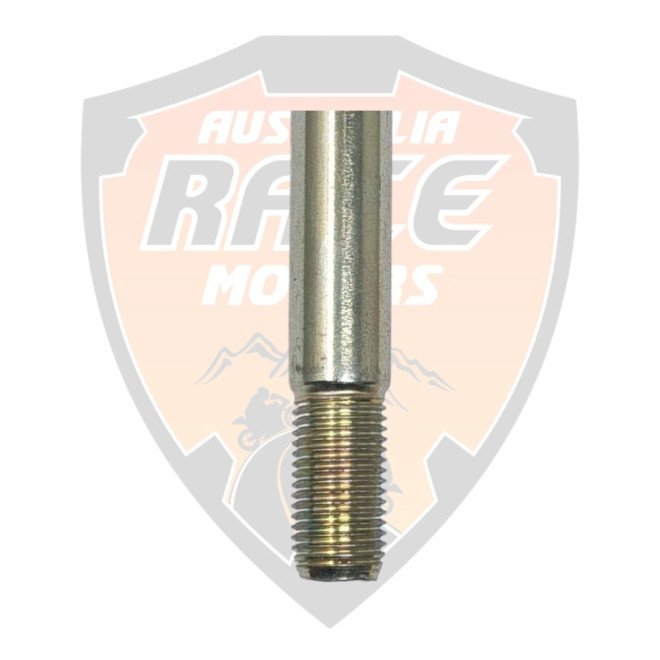 Swing Arm Bolt