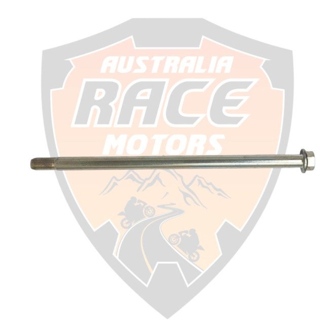 Swing Arm Bolt