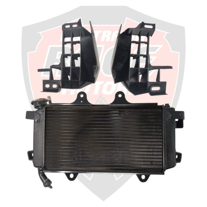Radiator With Cap and Side Mask