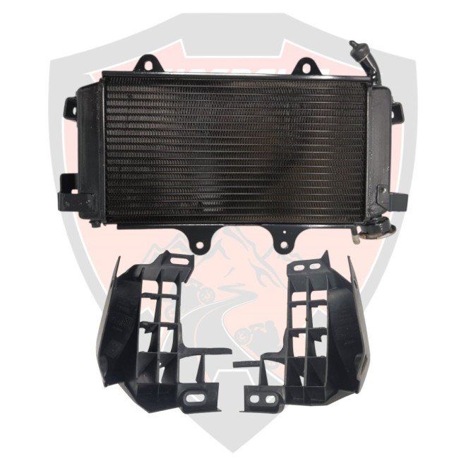 Radiator With Cap and Side Mask