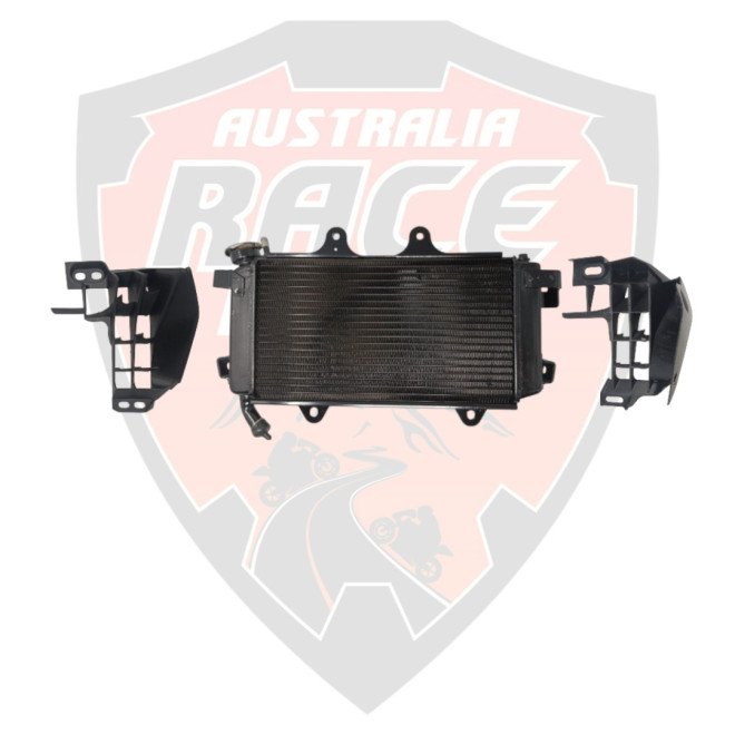 Radiator With Cap and Side Mask