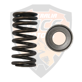 Valve Spring