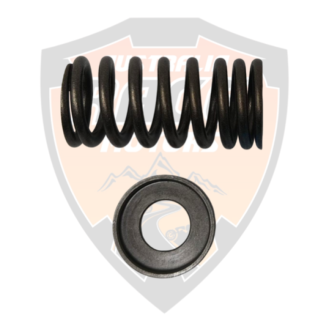Valve Spring