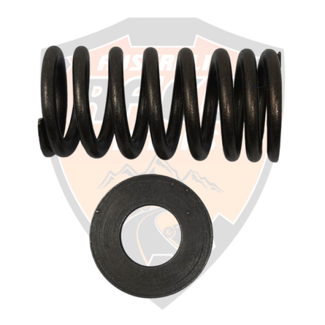 Valve Spring