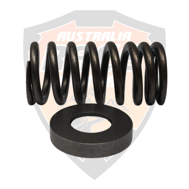 Valve Spring