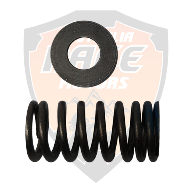 Valve Spring