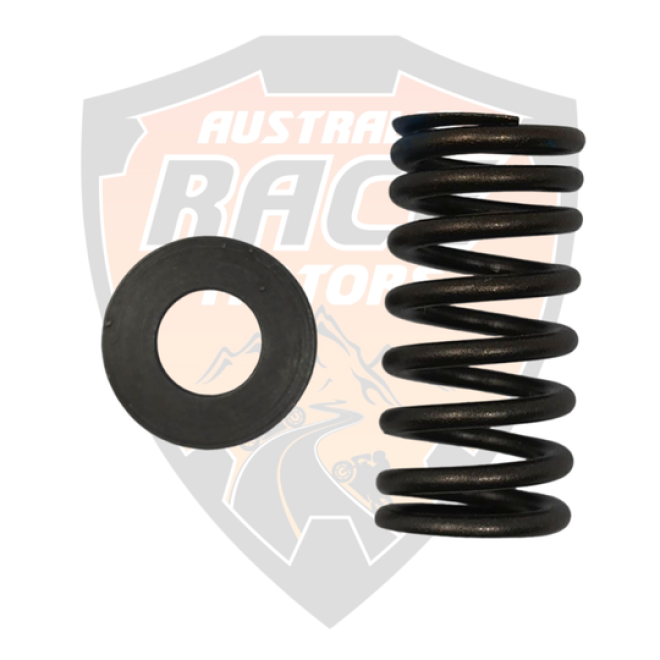 Valve Spring
