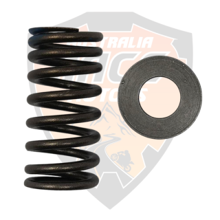 Valve Spring
