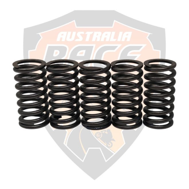 Clutch Spring 5 Pieces