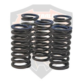Clutch Spring 5 Pieces