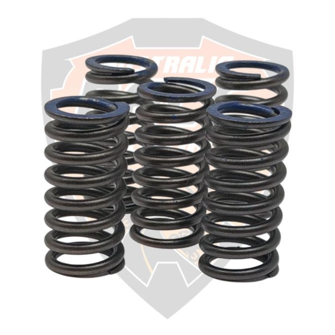 Clutch Spring 5 Pieces
