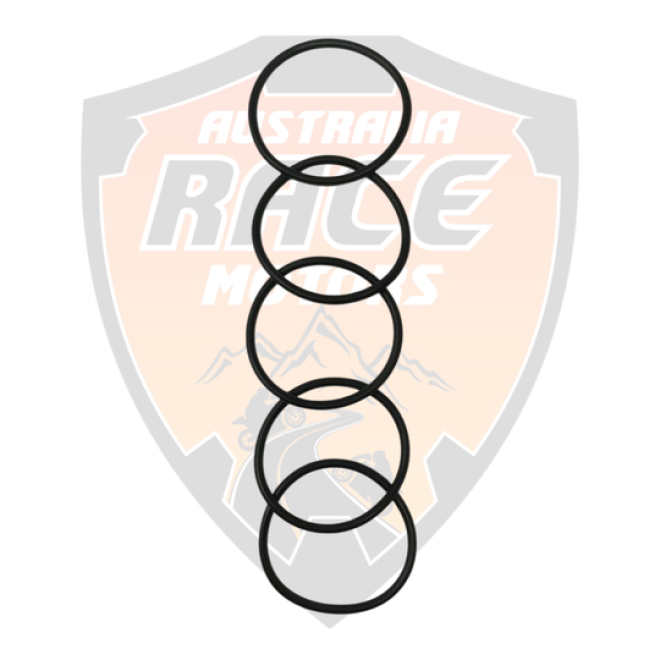 O Ring Oil Filter