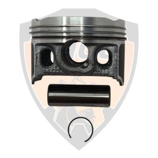 Piston Assembly