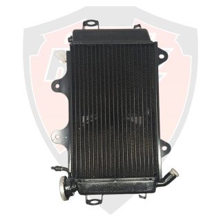 Radiator Assembly With Fan For ktm Duke 250 390