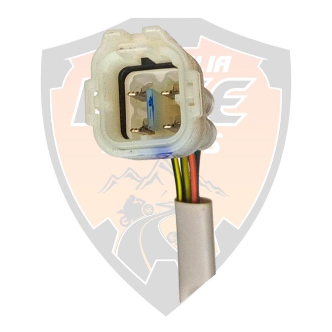Fuel Pump Duke 390