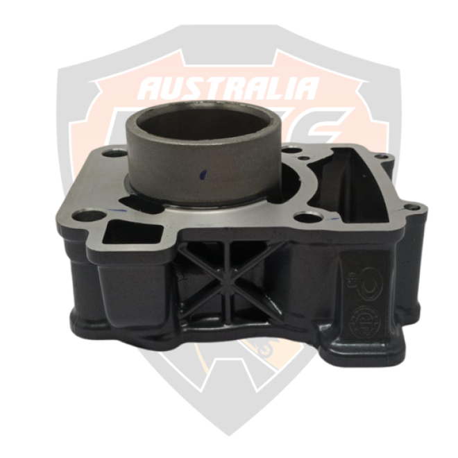 Cylinder Piston Barrel Block RC 125 Duke 125
