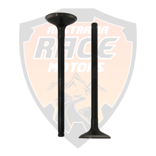 Exhaust Valve 2 pieces Duke 250