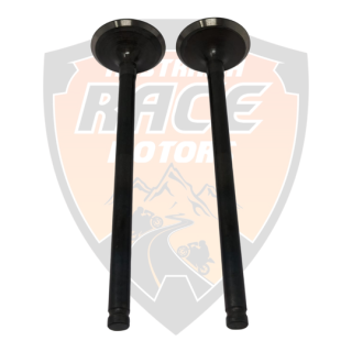 Exhaust Valve 2 pieces Duke 250
