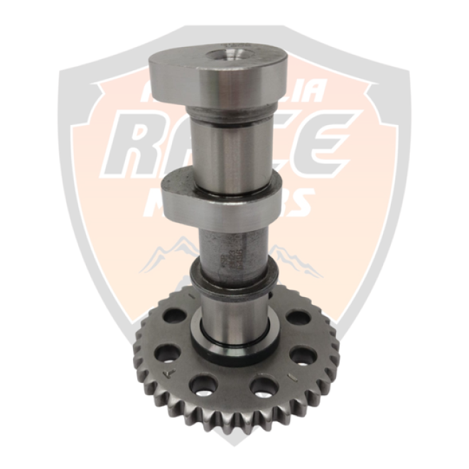 Intake Camshaft Duke 250 Adventure 250