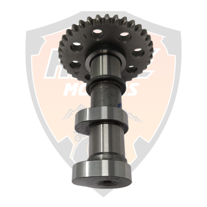 Intake Camshaft Duke 250 Adventure 250