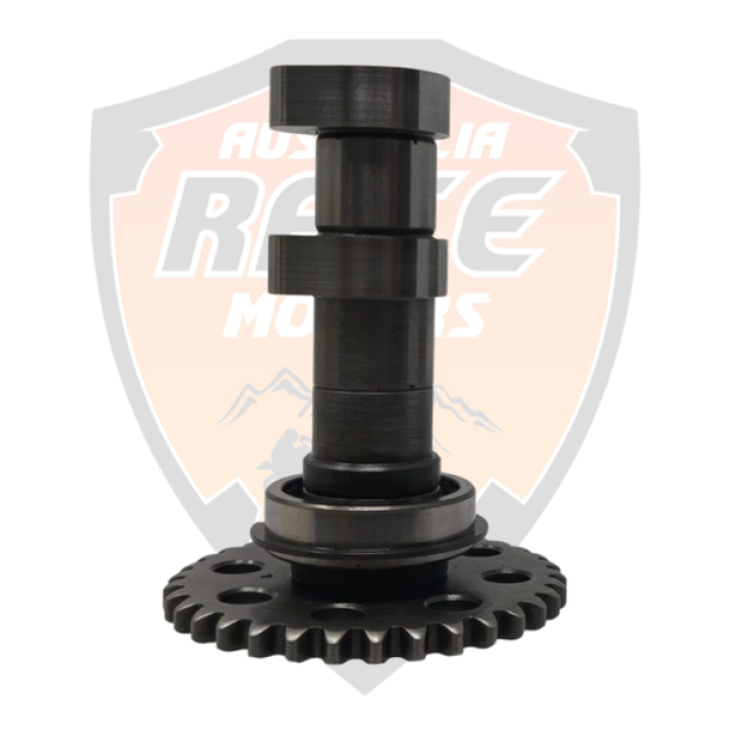 Intake Camshaft Duke 125 RC 125