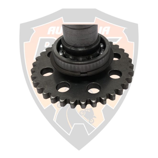 Camshaft Exhaust 125 Duke , RC