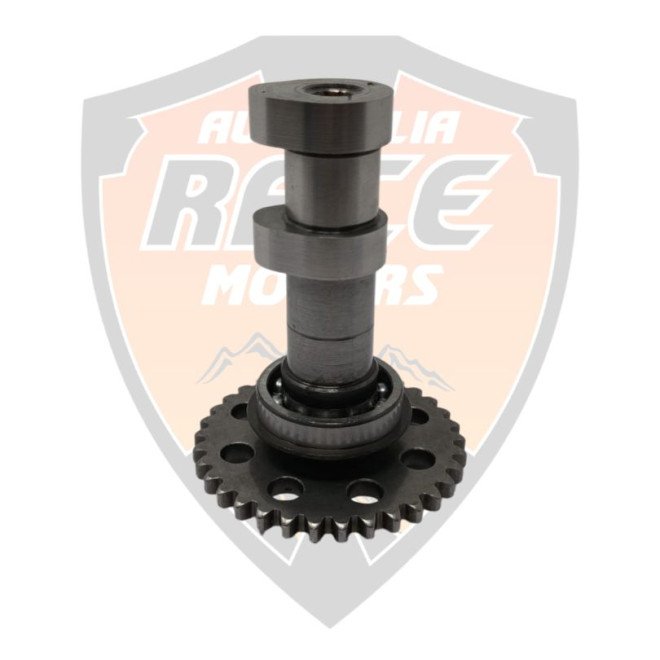 Camshaft Exhaust 125 Duke , RC