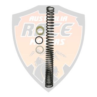 Main Spring & Washer For Ktm RC 125 200