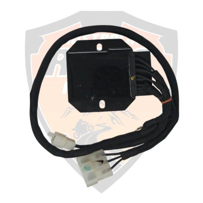 Regulator 3 Phase Duke 250 Duke 390