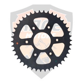Sprocket 42 T Duke 200 y RC 200