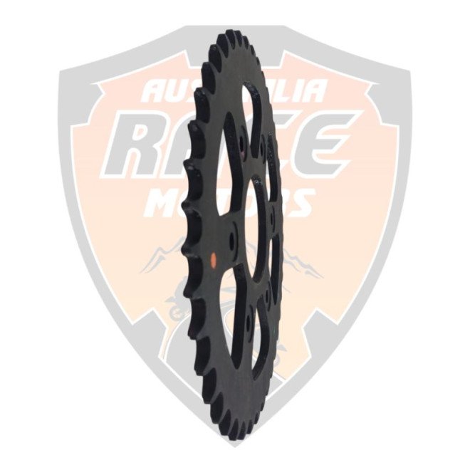 Sprocket 42 T Duke 200 y RC 200