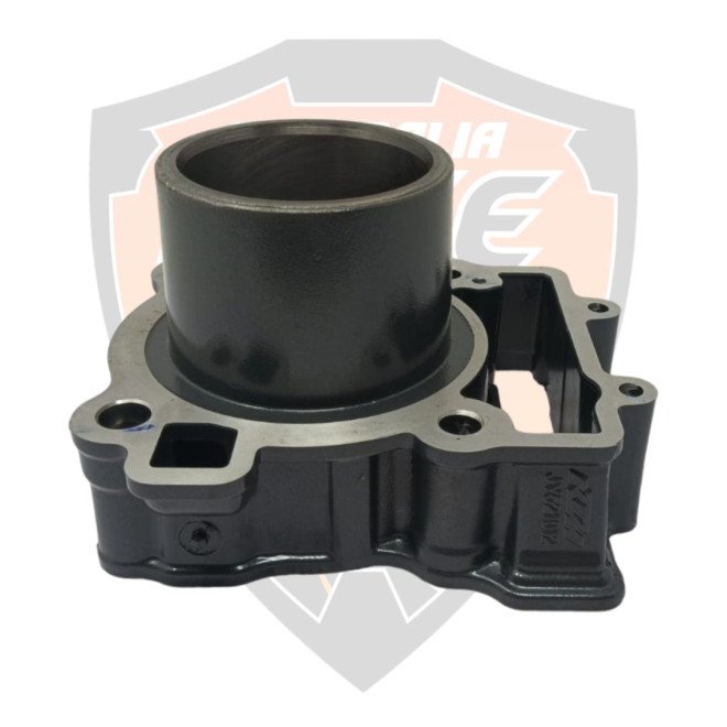 Cylinder Piston Barrel Block Duke 250 Adventure 250