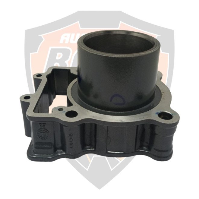 Cylinder Piston Barrel Block Duke 250 Adventure 250
