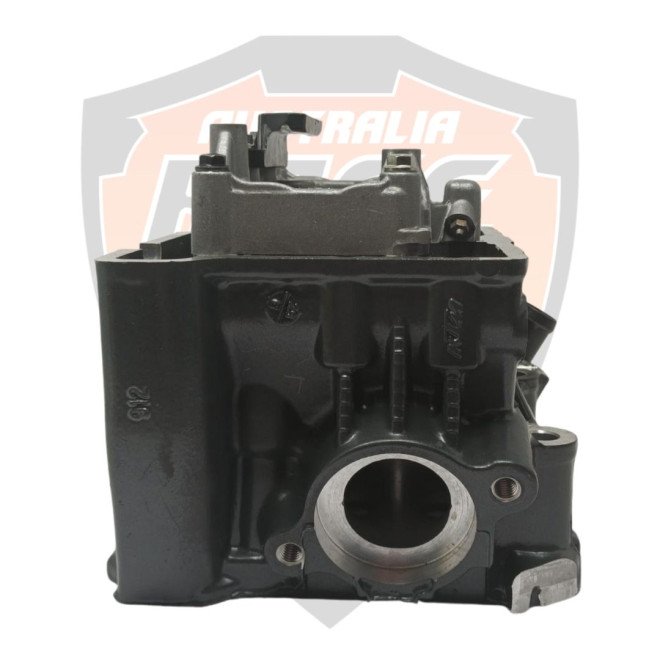 Cylinder Head With Camshaft Holder Duke 250