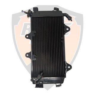Radiator Complete without Fan With Cap