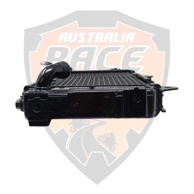 Radiator Complete without Fan With Cap