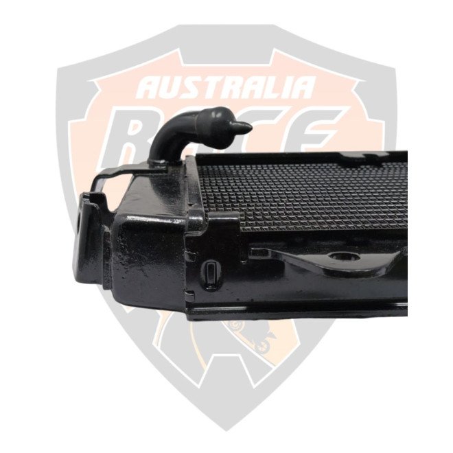 Radiator Complete without Fan With Cap