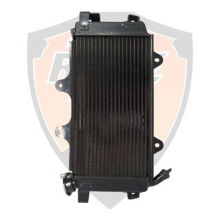 Radiator Complete without Fan With Cap