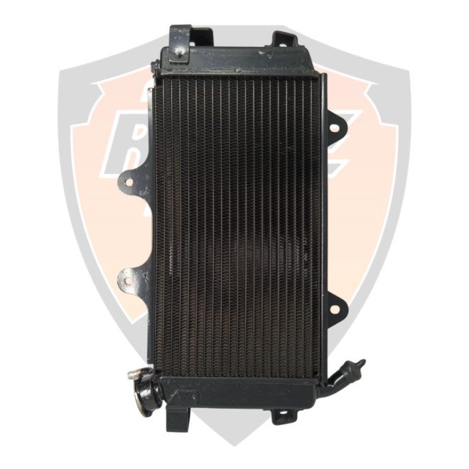 Radiator Complete without Fan With Cap
