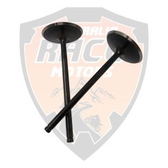 Valve Intake Duke 125, 390 & RC 390