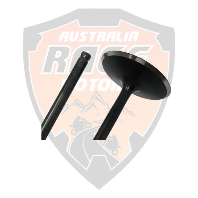 Valve Intake Duke 125, 390 & RC 390