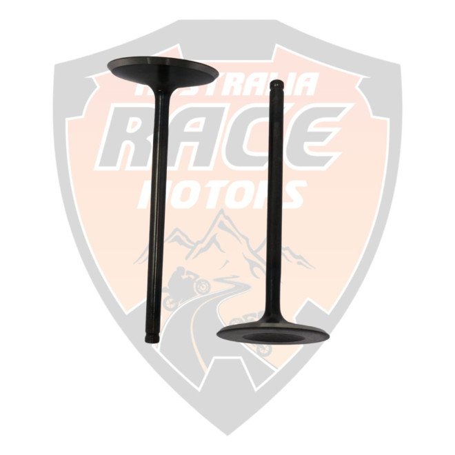 Valve Intake Duke 125, 390 & RC 390