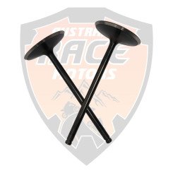 Valve Intake Duke 125, 390 & RC 390