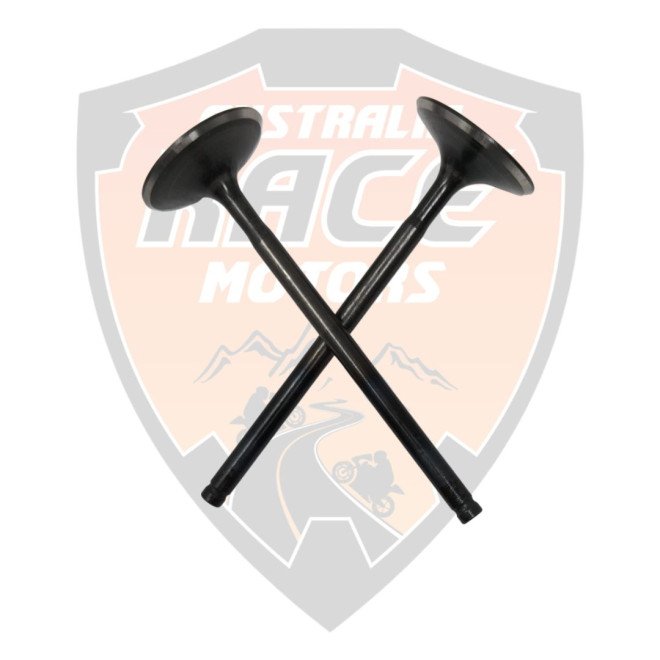 Exhaust Valves Duke 390 RC 390 Adventure 390