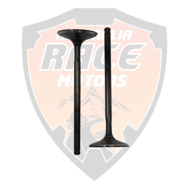 Exhaust Valves Duke 390 RC 390 Adventure 390