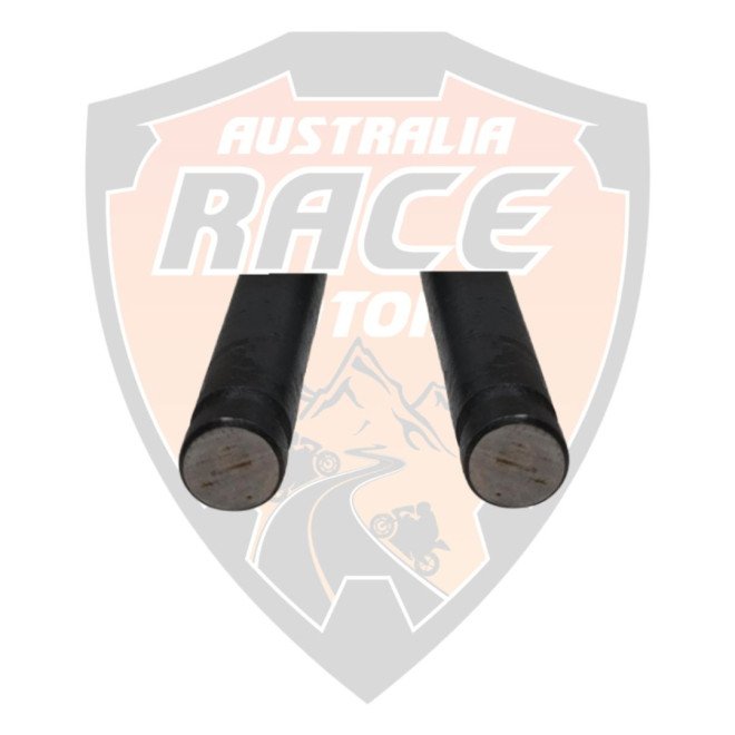 Exhaust Valves Duke 390 RC 390 Adventure 390