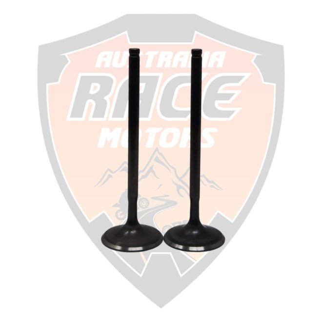 Exhaust Valves Duke 390 RC 390 Adventure 390