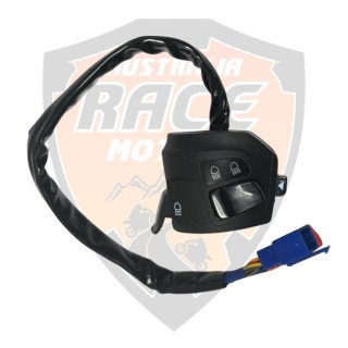 Switch Control Left Side Duke 250