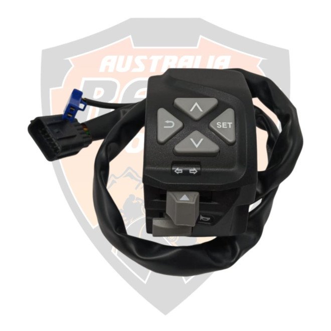 Switch Control LH Adventure 250 Adventure 390
